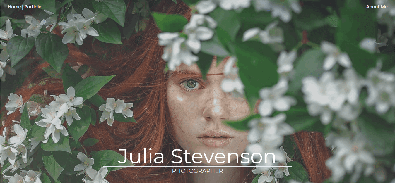 julia stevenson project